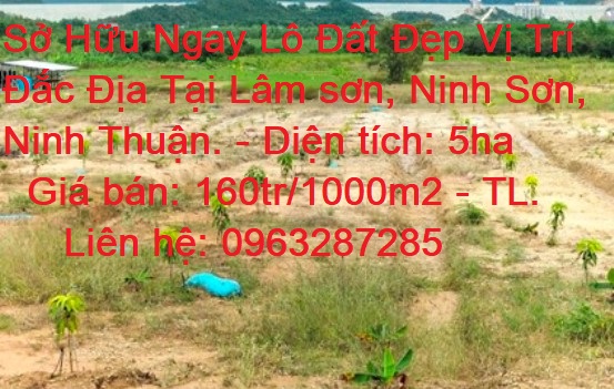 Sở Hữu Ngay Lô Đất Đẹp Vị Trí Đắc Địa Tại Lâm sơn, Ninh Sơn, Ninh Thuận
