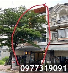 Chính chủ Bán nhà MT kinh doanh đắc địa tại KDC Phú Hồng Đạt - Phú Hồng Khang, Thuận An, Phường. An Phú, TP. HCM