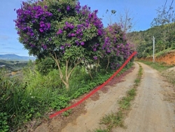 Chính chủ bán lô đất vị trí đẹp, thích hợp làm Homestay tại P. Xuân Trường - Đà Lạt, Lâm Đồng