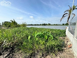 Cần bán gấp lô đất vị trí đắc địa MT sông Vàm Cỏ Đông(xã Hoà Khánh Nam, Đức Hoà, Long An cũ) tỉnh Tây Ninh.